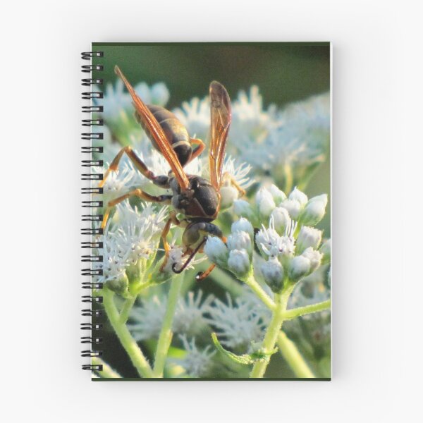 Item preview, Male Northern Paper Wasp On Boneset Flowers designed and sold by Jean Gregory Evans.