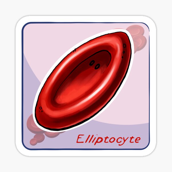 Elliptocyte Sticker