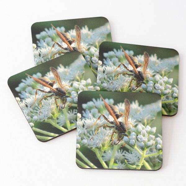 Item preview, Male Northern Paper Wasp On Boneset Flowers designed and sold by Jean Gregory Evans.