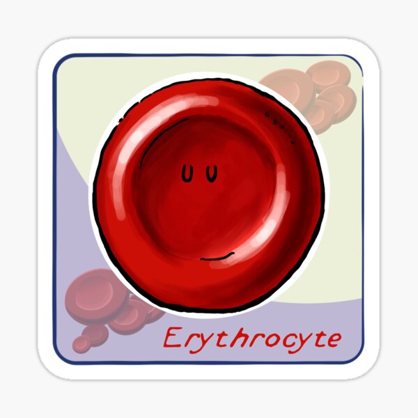Item preview, Erythrocyte designed and sold by John Chilton.