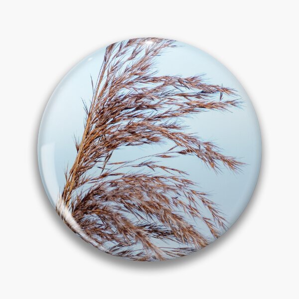 Artikelvorschau, A bull rush grass fluttering in the summer wind entworfen und verkauft von iCimages.net.