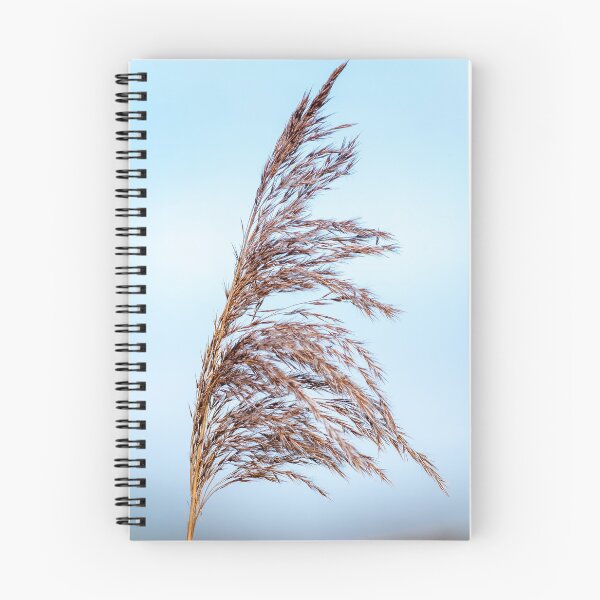 Item preview, A bull rush grass fluttering in the summer wind designed and sold by iCimages.net.