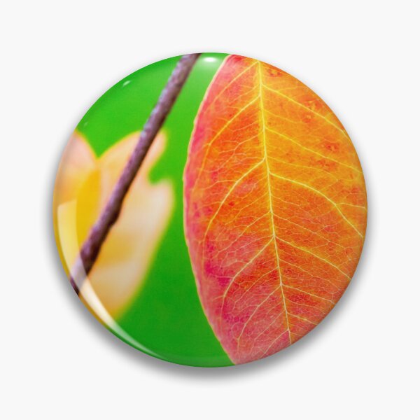 Artikelvorschau, Autumn orange leaf with green background entworfen und verkauft von iCimages.net.