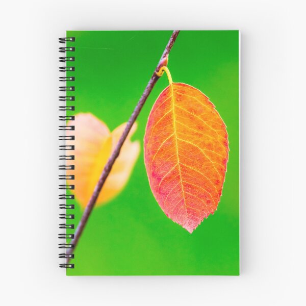Item preview, Autumn orange leaf with green background designed and sold by iCimages.net.