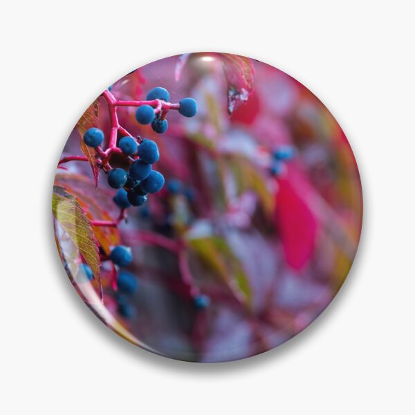 Artikelvorschau, Autumn berries entworfen und verkauft von iCimages.net.