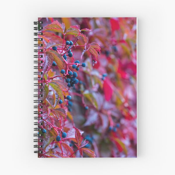 Item preview, Autumn berries designed and sold by iCimages.net.