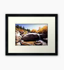 picture book fall II Framed Print