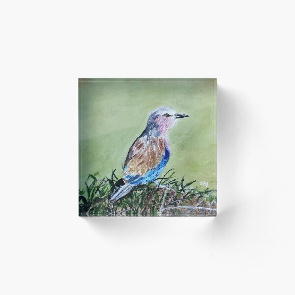 Little bird chirping sitting on a pile of grass. Acrylic Block