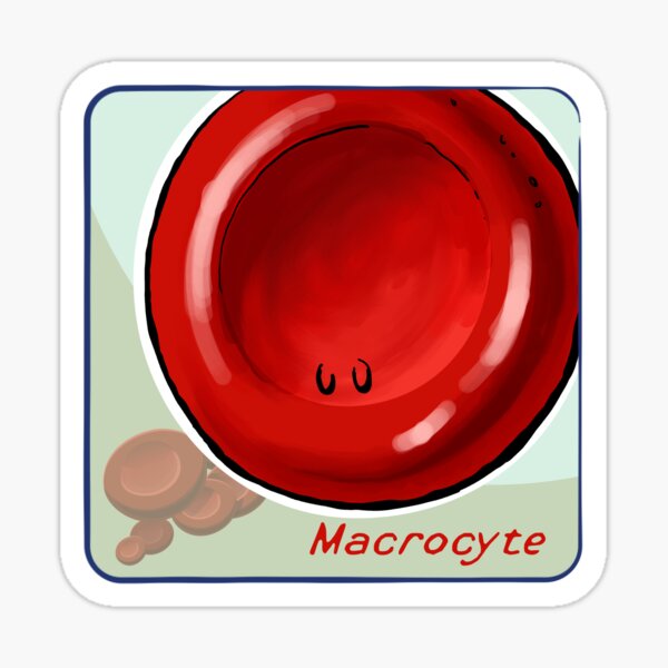 Item preview, Macrocyte designed and sold by John Chilton.