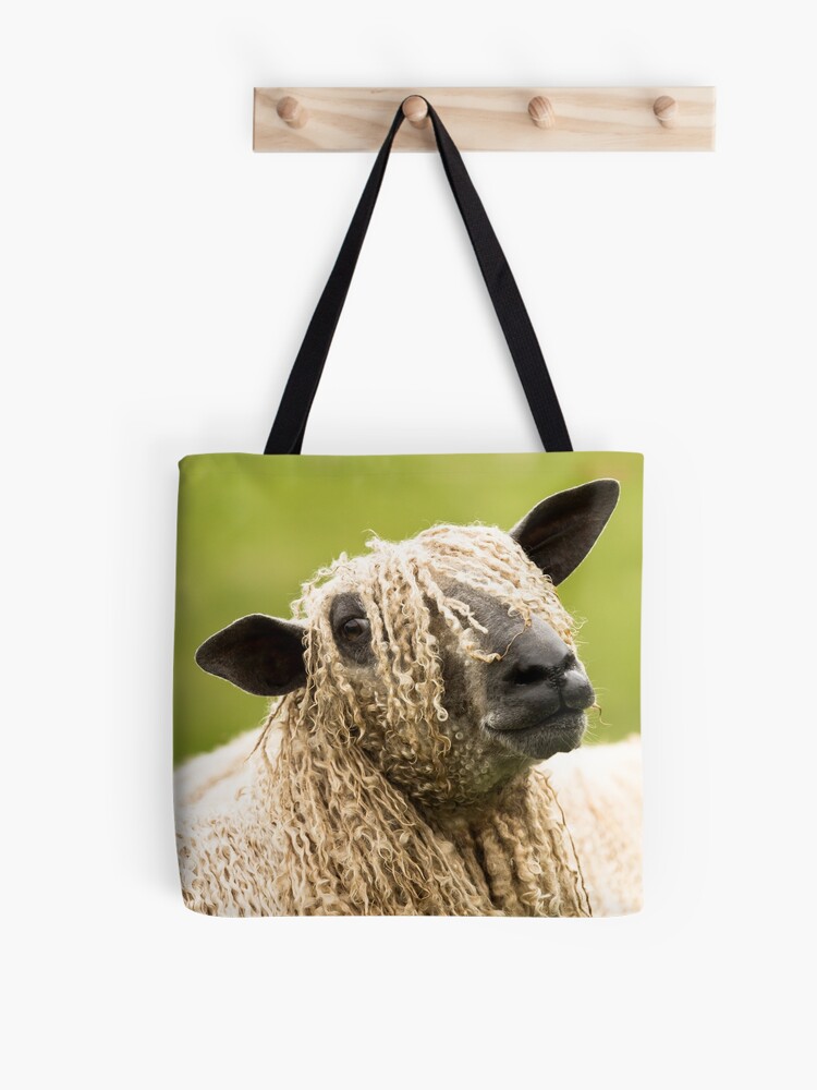 fluffy sheep, wool sheep