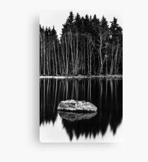 Sticks And Stones Canvas Print