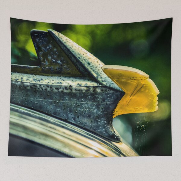 Aperçu de l'œuvre Hood ornament abandoned créée et vendue par kimopix.
