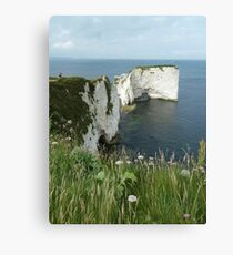 Old Harry Canvas Print