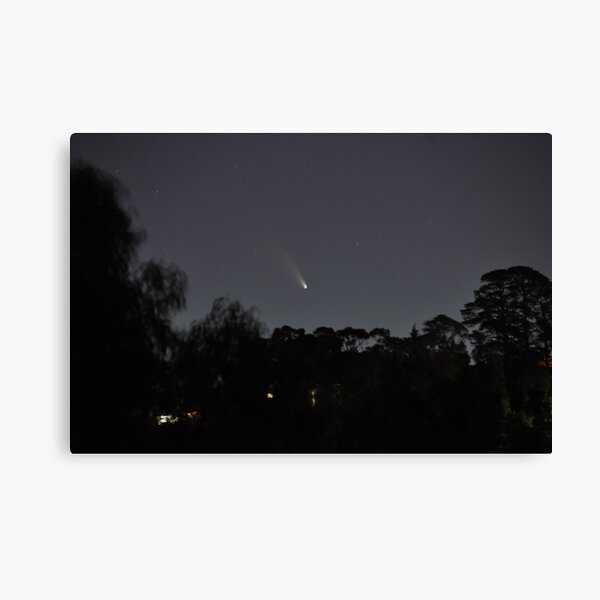 Comet PANSTARRS over Upper Ferntree Gully Canvas Print