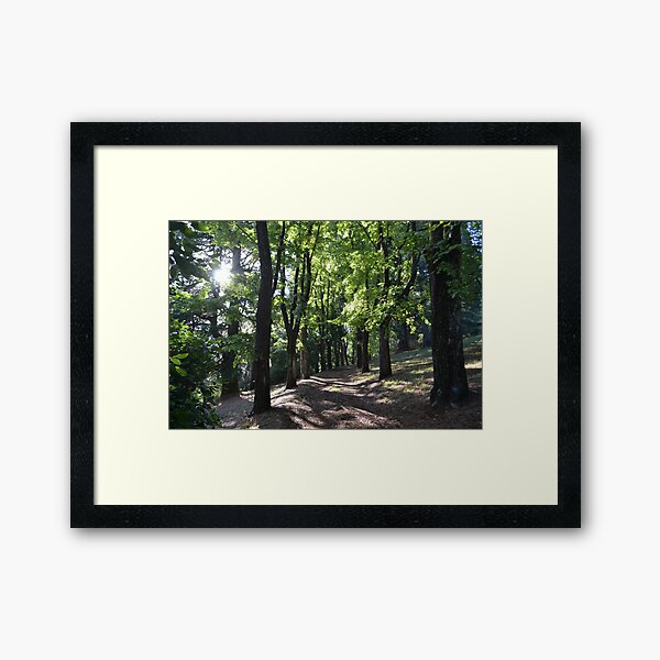 Item preview, Wombat Botanical Gardens - Daylesford designed and sold by Helen Greenwood.