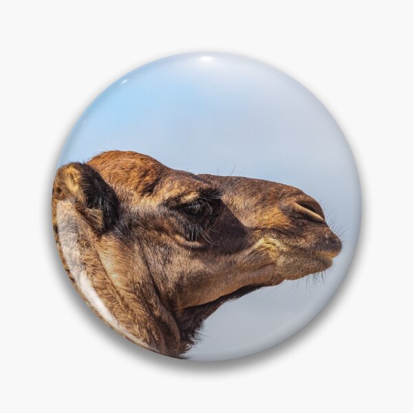 Item preview, Camel designed and sold by iCimages.net.