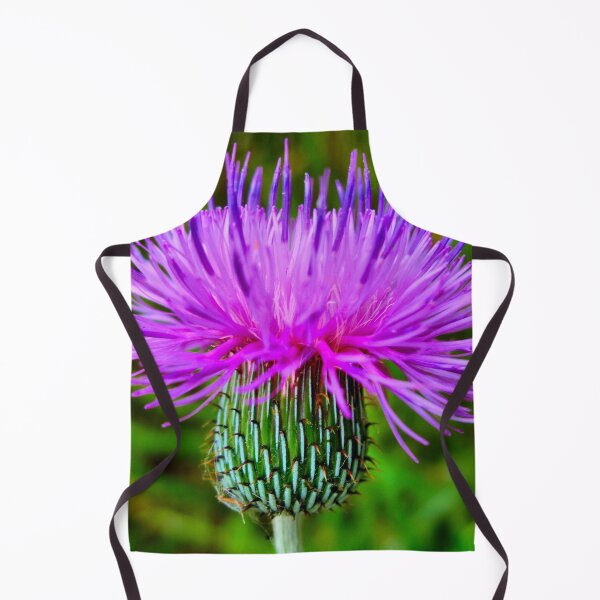 Artikelvorschau, American Thistle entworfen und verkauft von Sandra Moore.