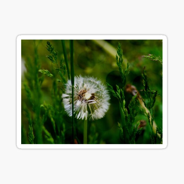 autumnwind Shop Redbubble