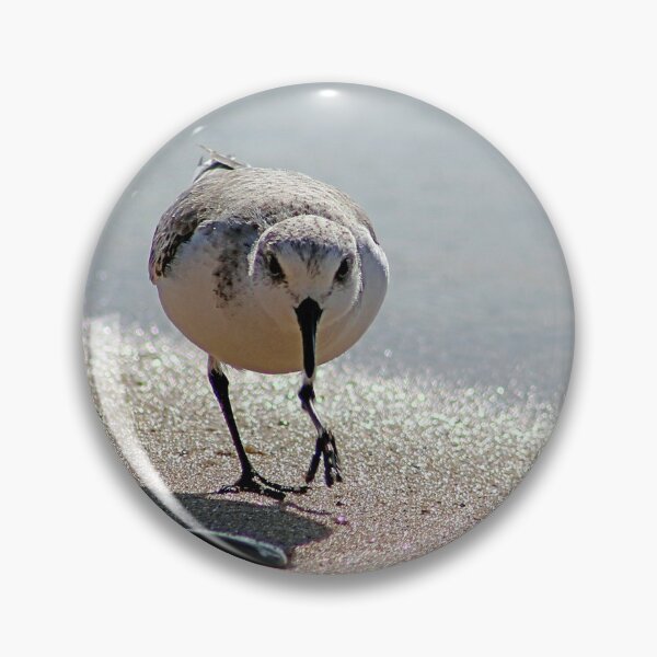 Item preview, Sandpiper bird on the seashore designed and sold by Anna Lemos.