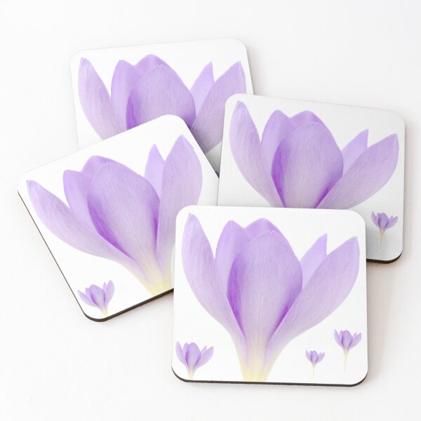 Item preview, Crocus goulimyi   AGM  Autumn flowering crocus designed and sold by Chris Burrows.