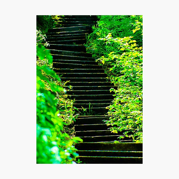 Sunny steps in Scarborough Photographic Print