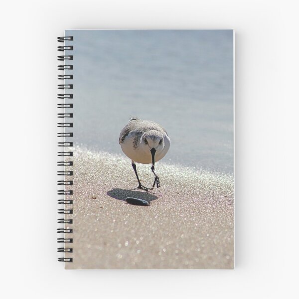Item preview, Sandpiper bird on the seashore designed and sold by Anna Lemos.