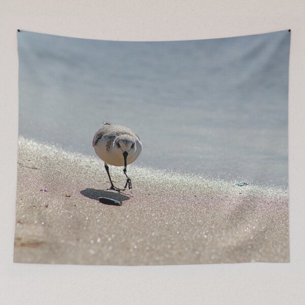 Item preview, Sandpiper bird on the seashore designed and sold by Anna Lemos.