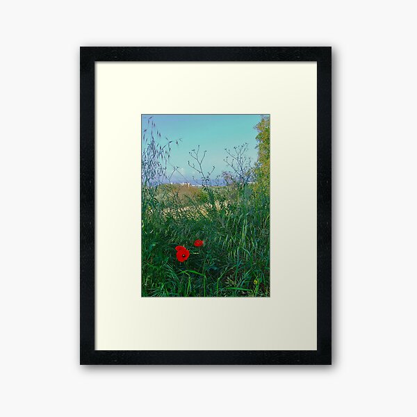 Poppies in Paphos Framed Art Print