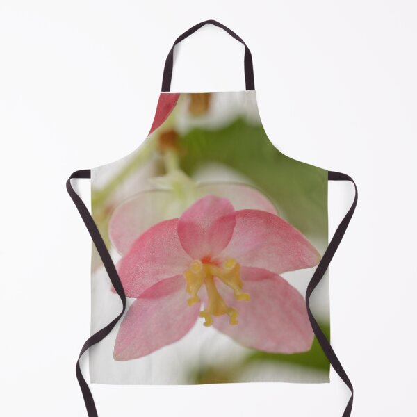Item preview, Begonia & amp; # 39; Tiny Gem & amp; # 39; designed and sold by Chris Burrows.
