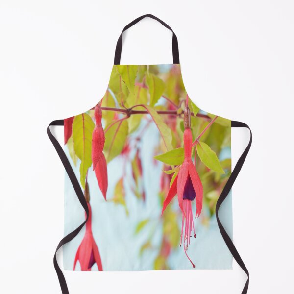 Item preview, Fuchsia magellanica var. gracilis 'Aurea' designed and sold by Chris Burrows.