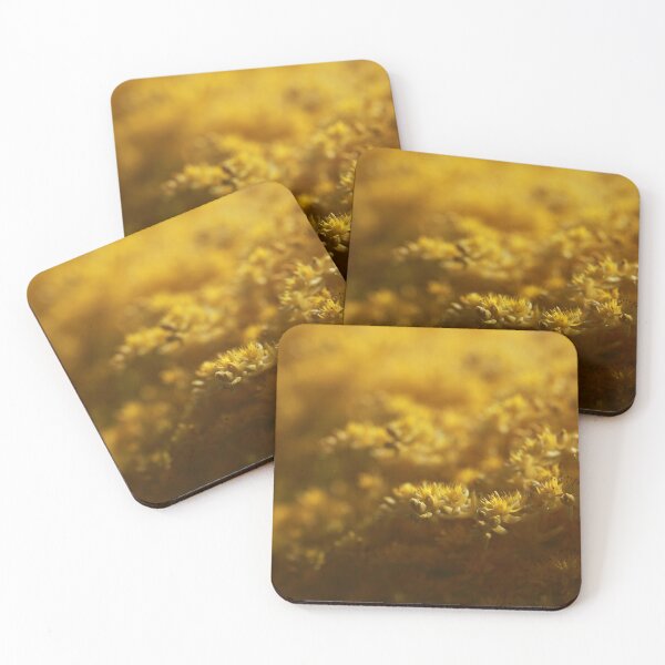Item preview, Sedum designed and sold by StampCity.