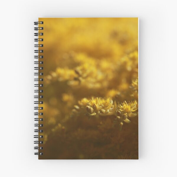 Item preview, Sedum designed and sold by StampCity.