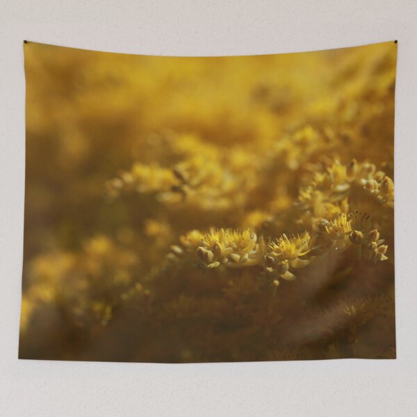 Item preview, Sedum designed and sold by StampCity.