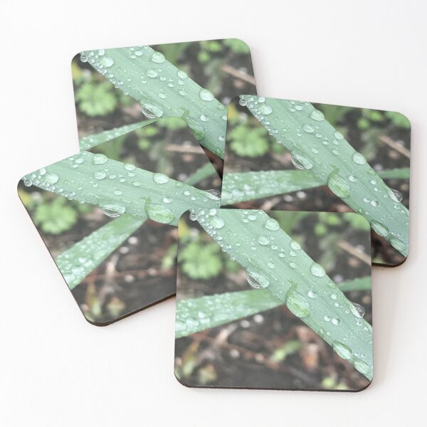 Item preview, Light Rain on Green Plant designed and sold by KRCraftsNMore.