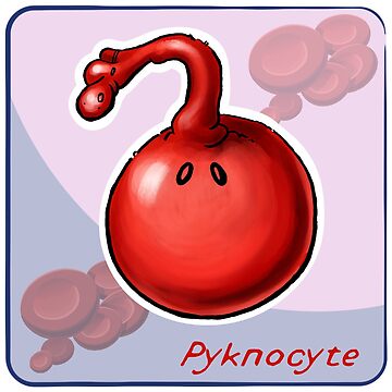 Artwork thumbnail, Pyknocyte by John Chilton