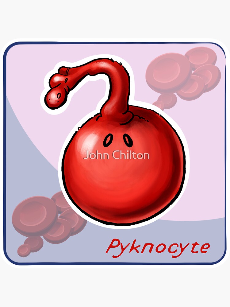 Thumbnail 3 of 3, Sticker, Pyknocyte designed and sold by DrawnToTheSea.