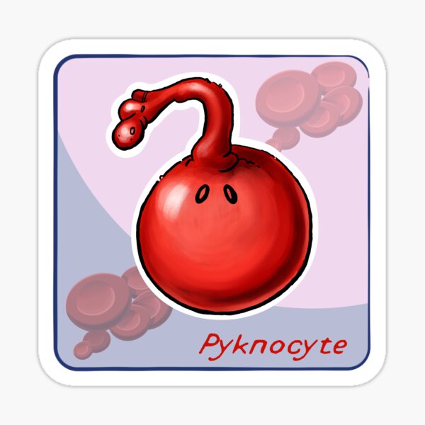 Item preview, Pyknocyte designed and sold by John Chilton.