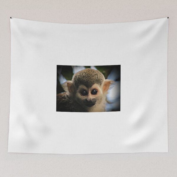 Item preview, Furry ears I have :) designed and sold by BiodiversityRocks.
