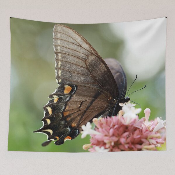 Item preview, Macro of an Eastern Tiger Swallowtail designed and sold by StampCity.