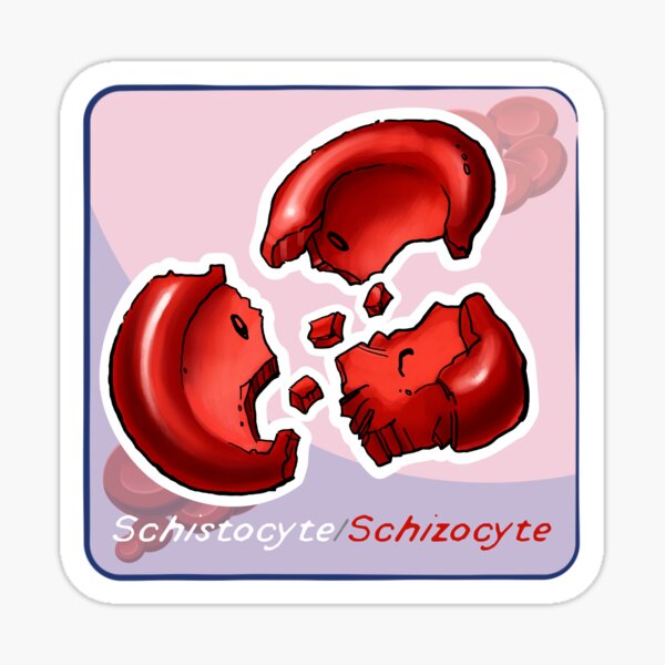 Schistocyte Sticker