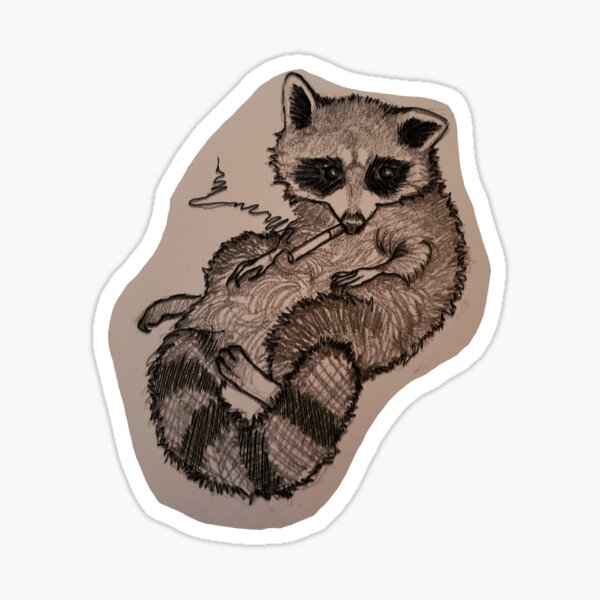 Raccoon And Possum Stickers for Sale