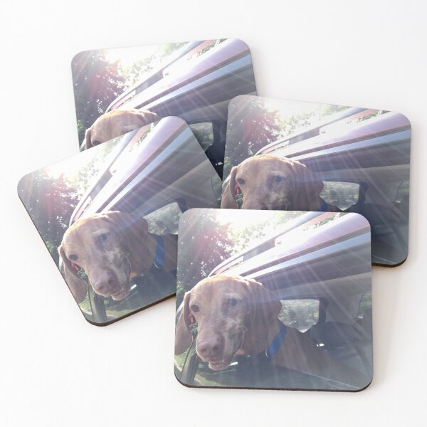 Item preview, Dog Sticking Head Out Window With Sunlight Shining in Background designed and sold by KRCraftsNMore.