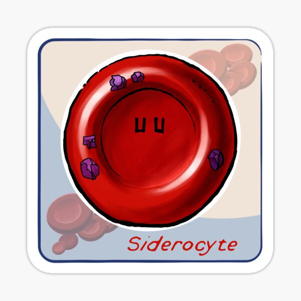 Siderocyte Sticker