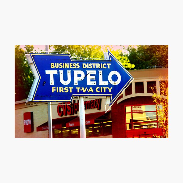 Tupelo Photographic Print