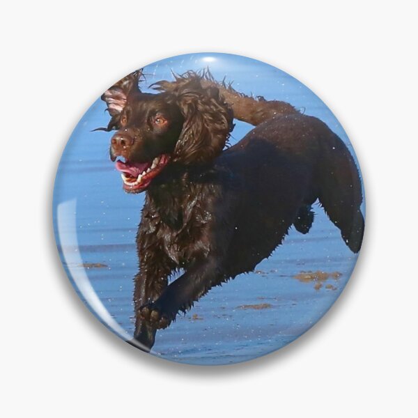 Item preview, dogs love beaches designed and sold by Ribster13.
