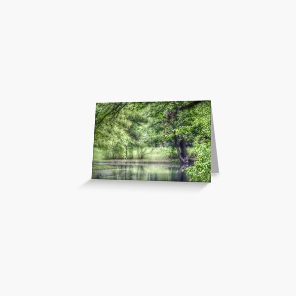 Reflective Pond Greeting Card