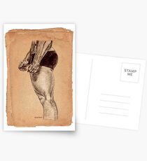 Swimmer Postcards