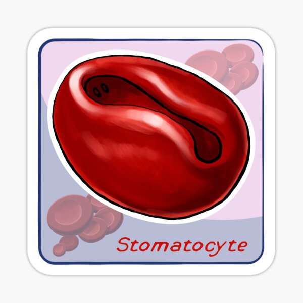 Stomatocyte Sticker