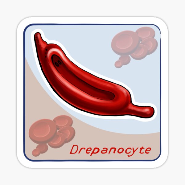 Item preview, Drepanocyte designed and sold by John Chilton.