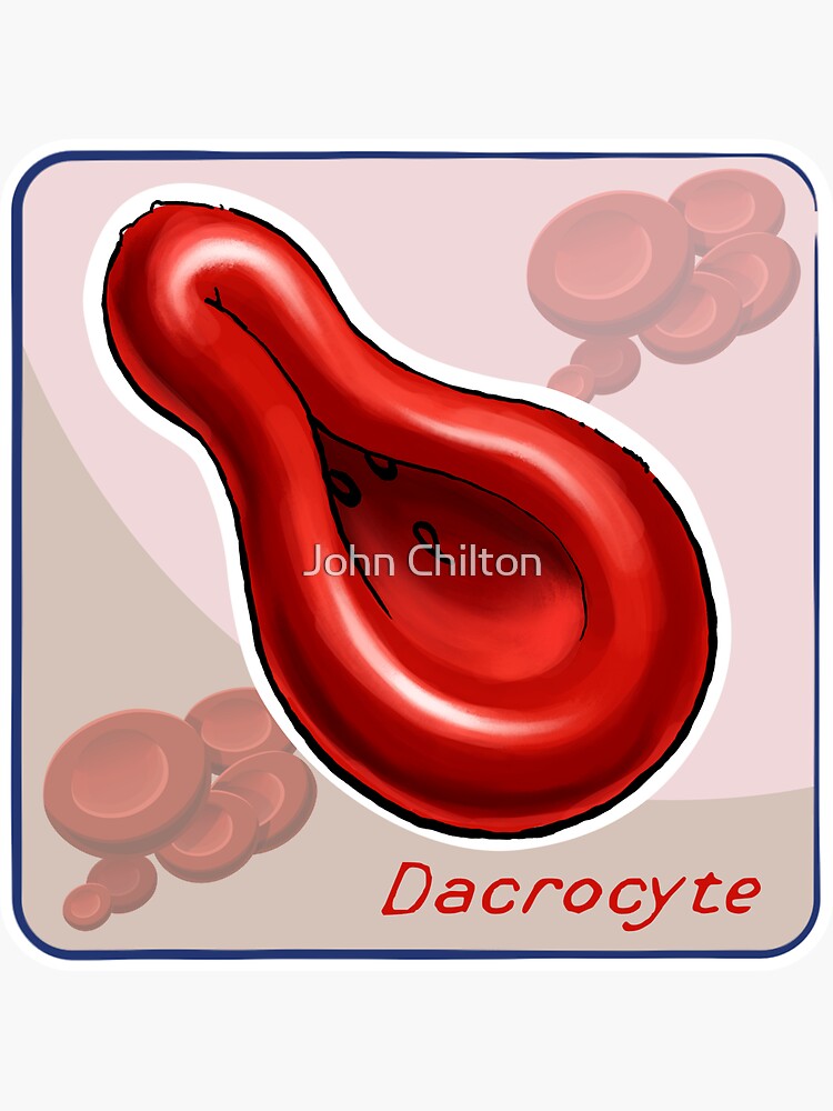 Thumbnail 3 of 3, Sticker, Dacrocyte designed and sold by DrawnToTheSea.